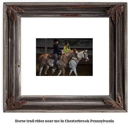 horse trail rides near me in Chesterbrook, Pennsylvania